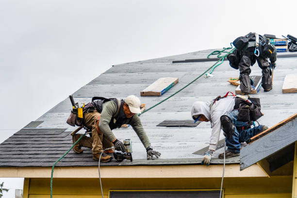 Professional Roofing technician working in Brandeis, CA